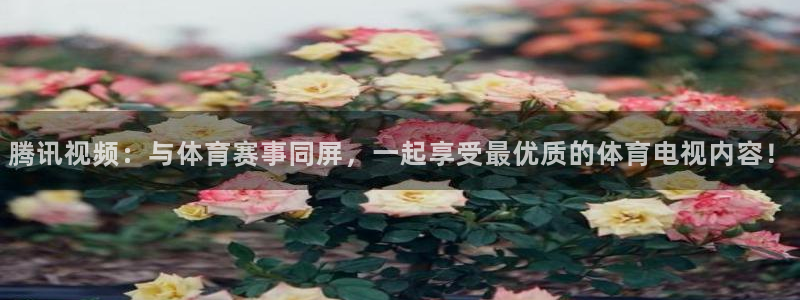 腾讯视频：与体育赛事同屏，一起享受最优质的体育电视内容！