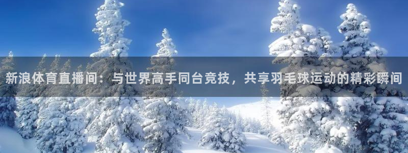 新浪体育直播间：与世界高手同台竞技，共享羽毛球运动的精彩瞬间