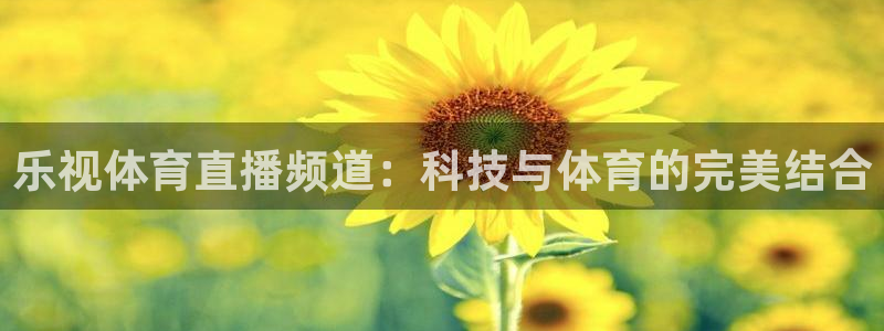 乐视体育直播频道：科技与体育的完美结合