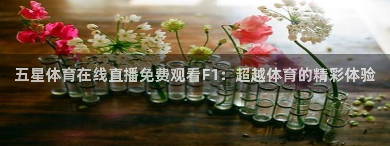 五星体育在线直播免费观看F1：超越体育的精彩体验